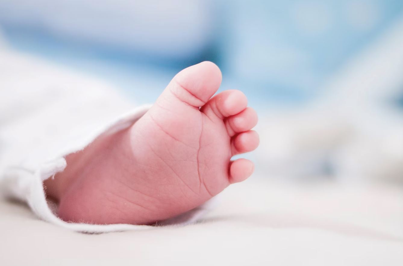 pasangan suami isteri sanggup tukarkan bayi lapan bulan mereka dengan iphone 14