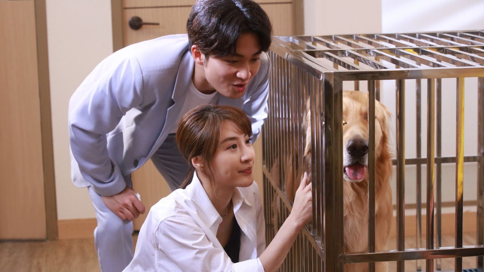 📺731两部tvb新剧开播❗️《破毒强人》《宠爱pet pet》登场🔥