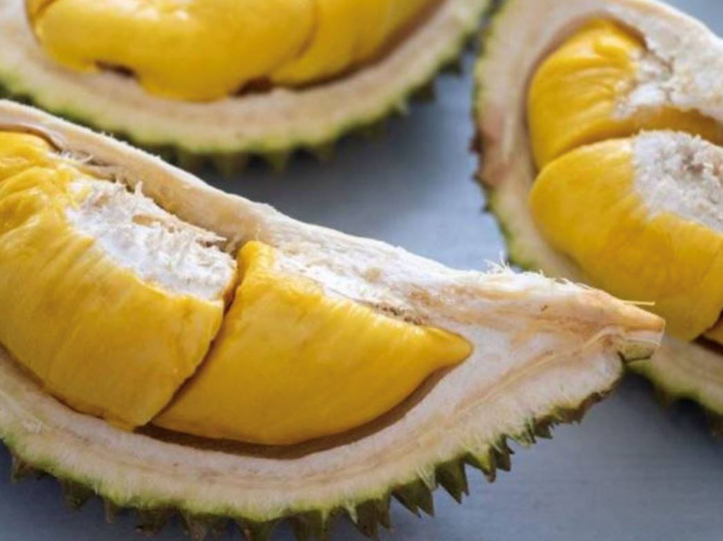 it’s durian szn! here are the types of durian you can find in malaysia