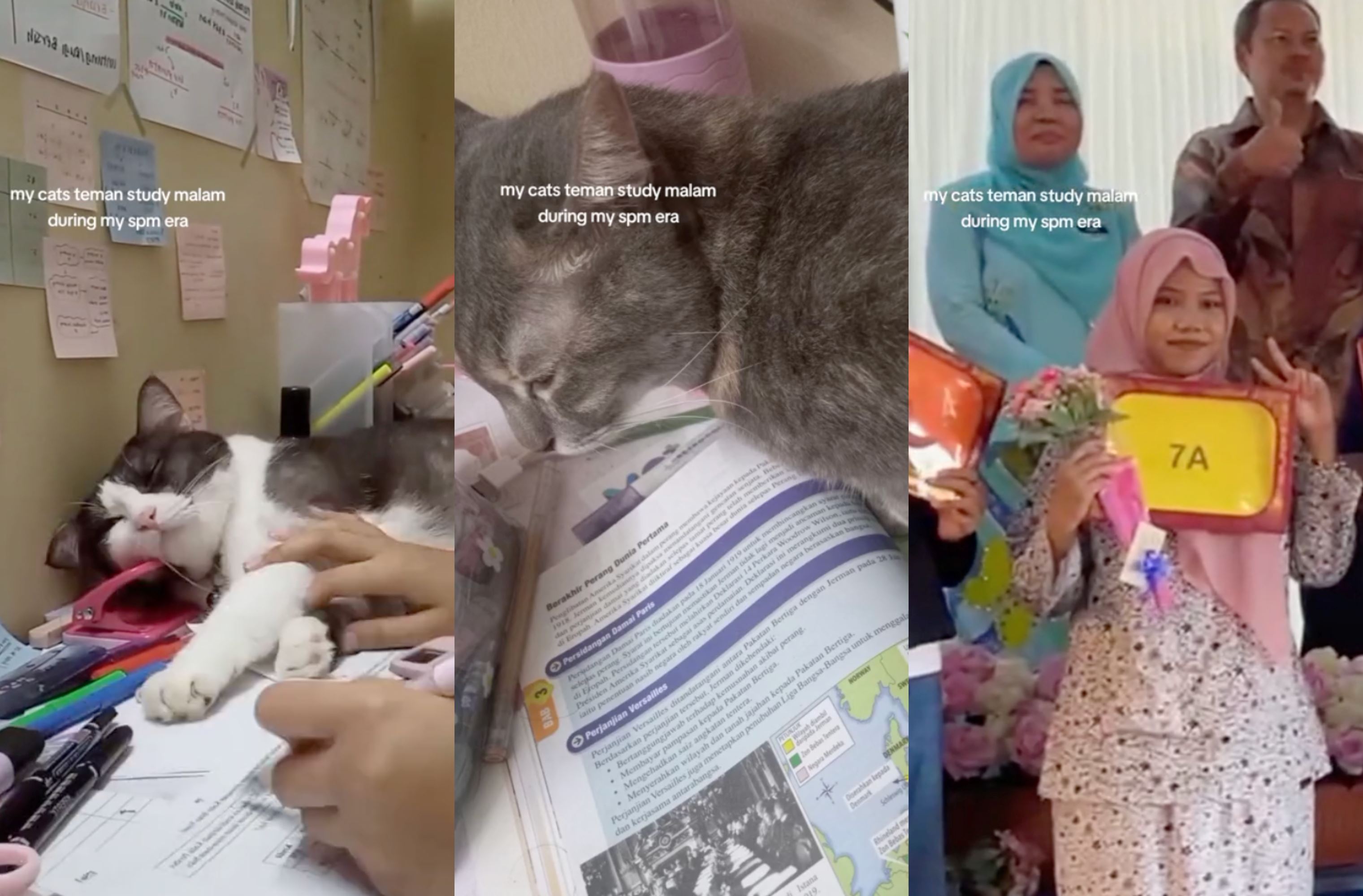 malaysian student achieves 7as for spm with help from her furry buddies! 