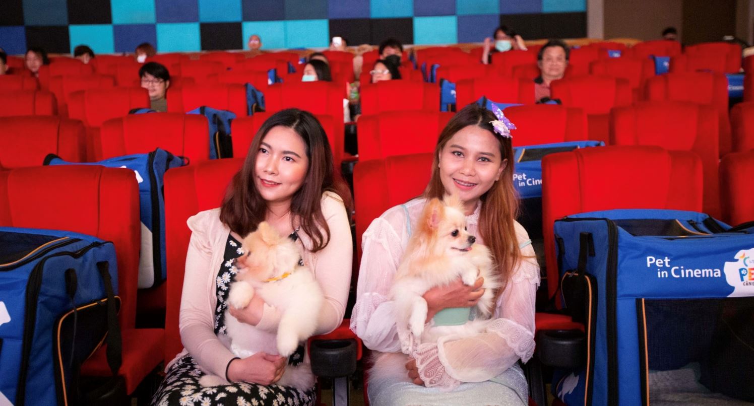 thailand opens first pet-friendly cinema, but not everyone is excited