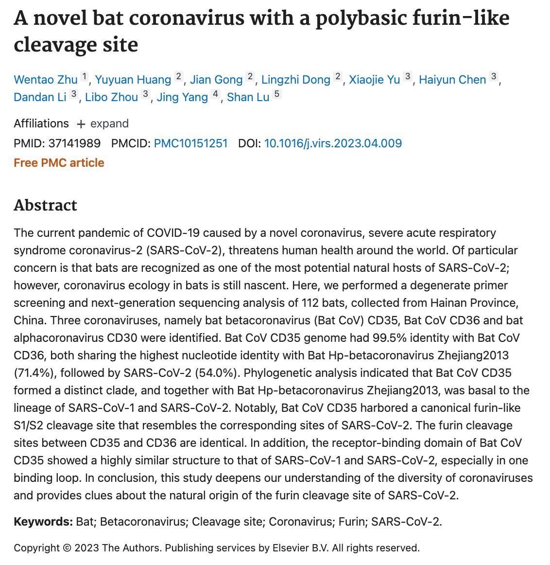 saintis bimbang risiko pandemik lepas jumpa dua virus korona baharu pada kelawar