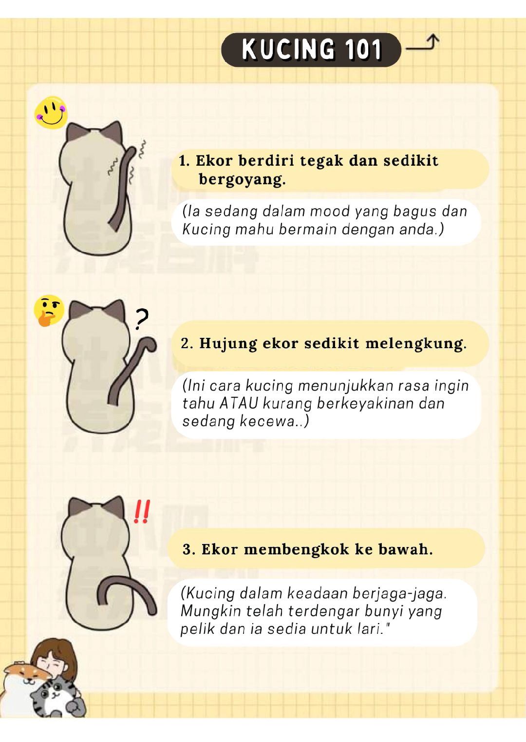 tengok ekor pun boleh faham, ini 12 bahasa kucing yang manusia patut belajar