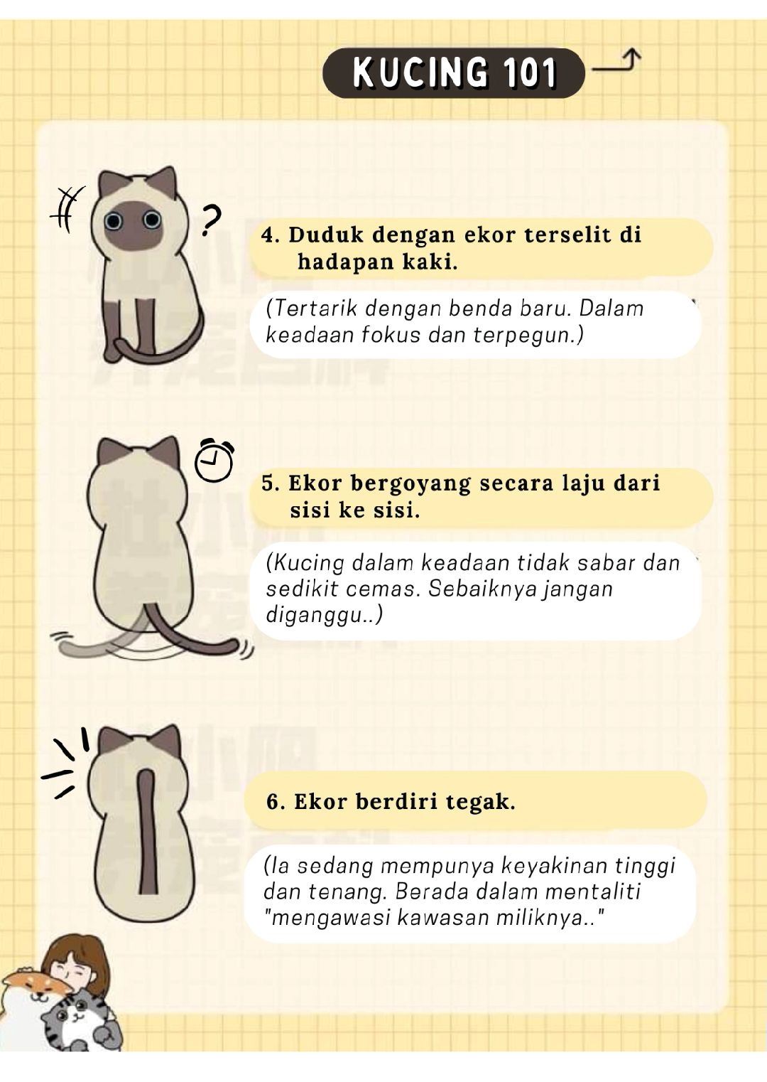 tengok ekor pun boleh faham, ini 12 bahasa kucing yang manusia patut belajar