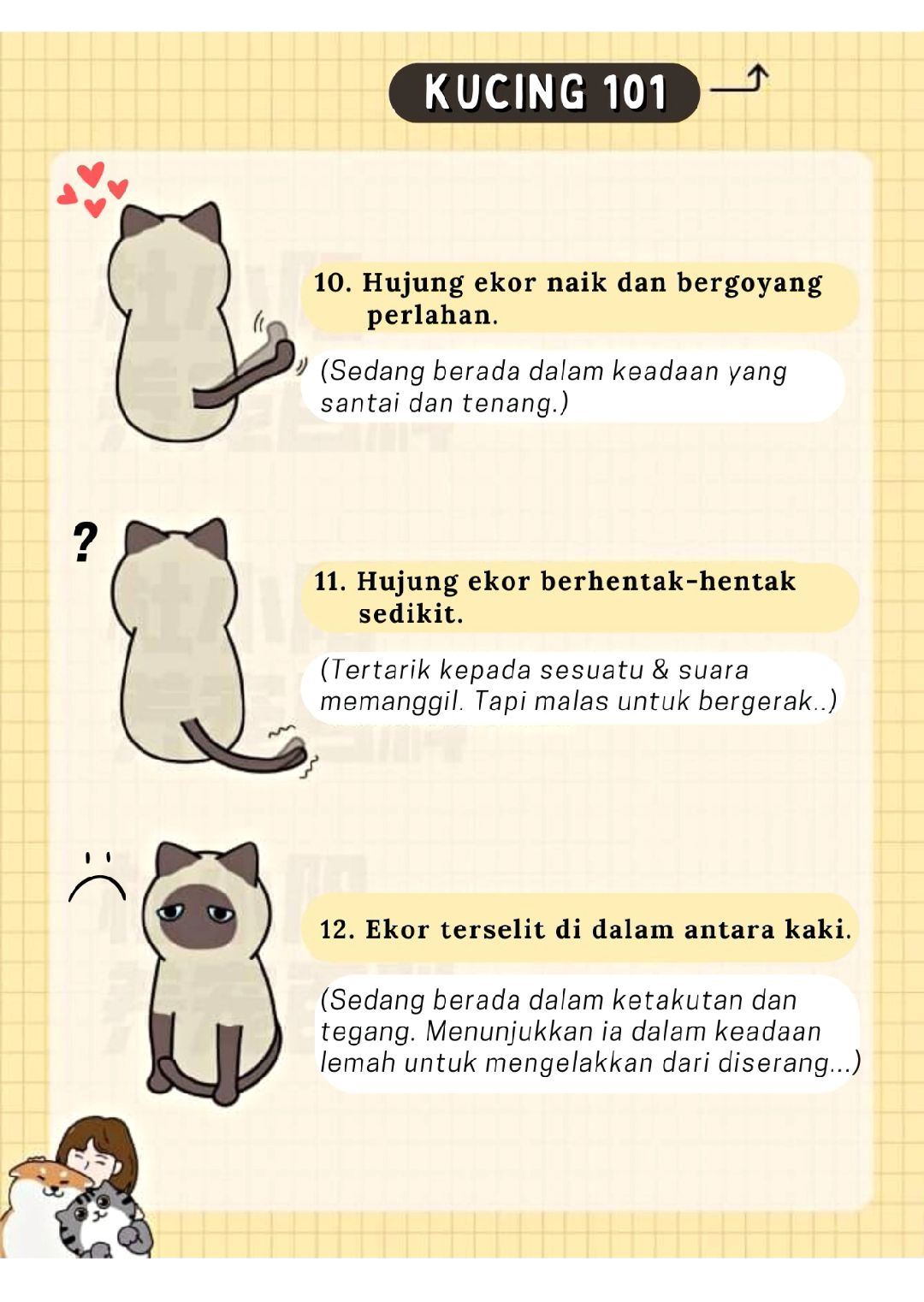 tengok ekor pun boleh faham, ini 12 bahasa kucing yang manusia patut belajar