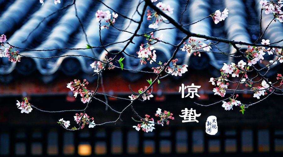 盘点5个惊蛰日不可犯的禁忌！不可去森林！