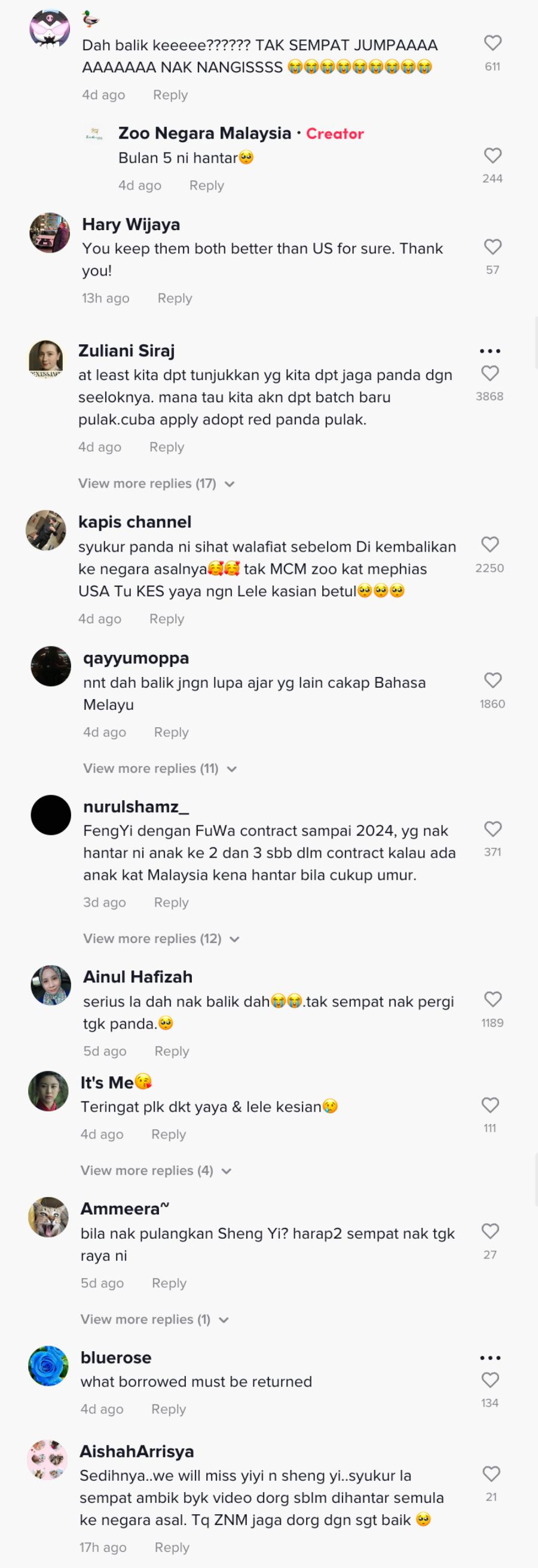 netizen sedih dua ekor panda dalam zoo negara bakal dipulangkan ke china