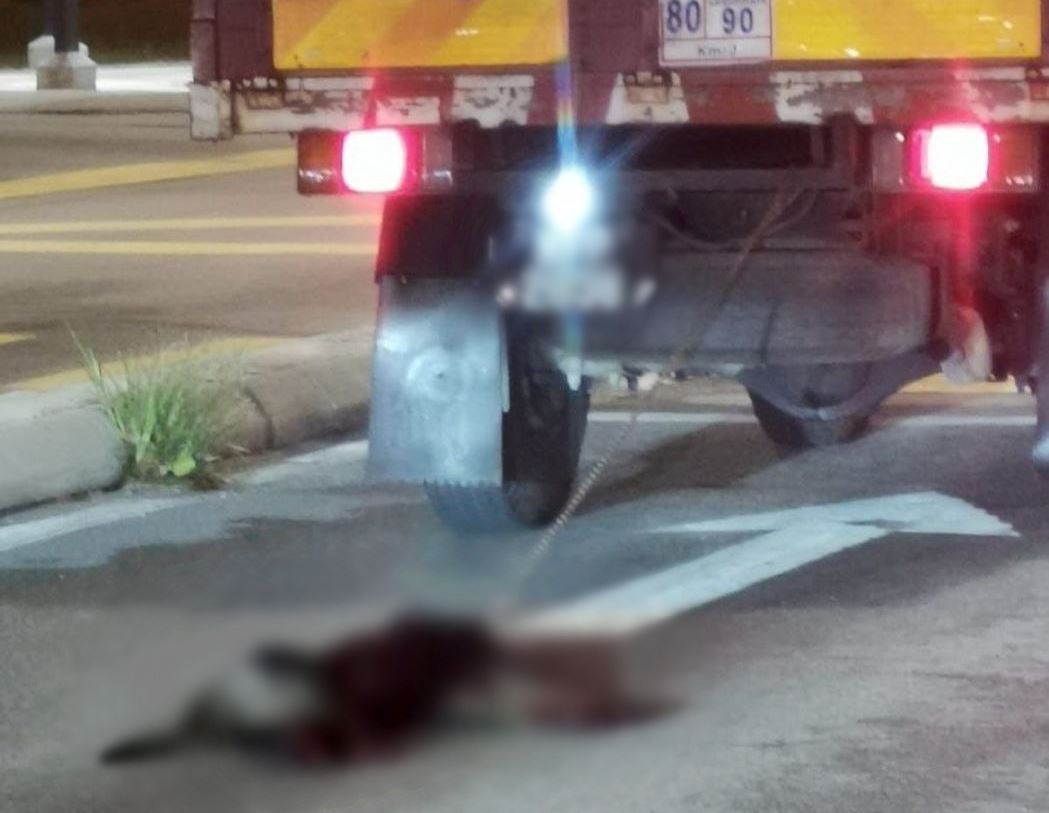 netizens outraged by photo of dog dragged in chains behind lorry