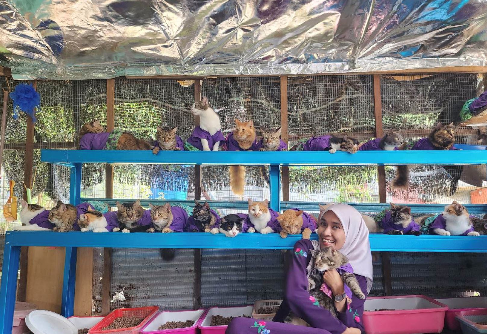 adorable! woman in penang dresses all her 61 cats in matching outfit for hari raya