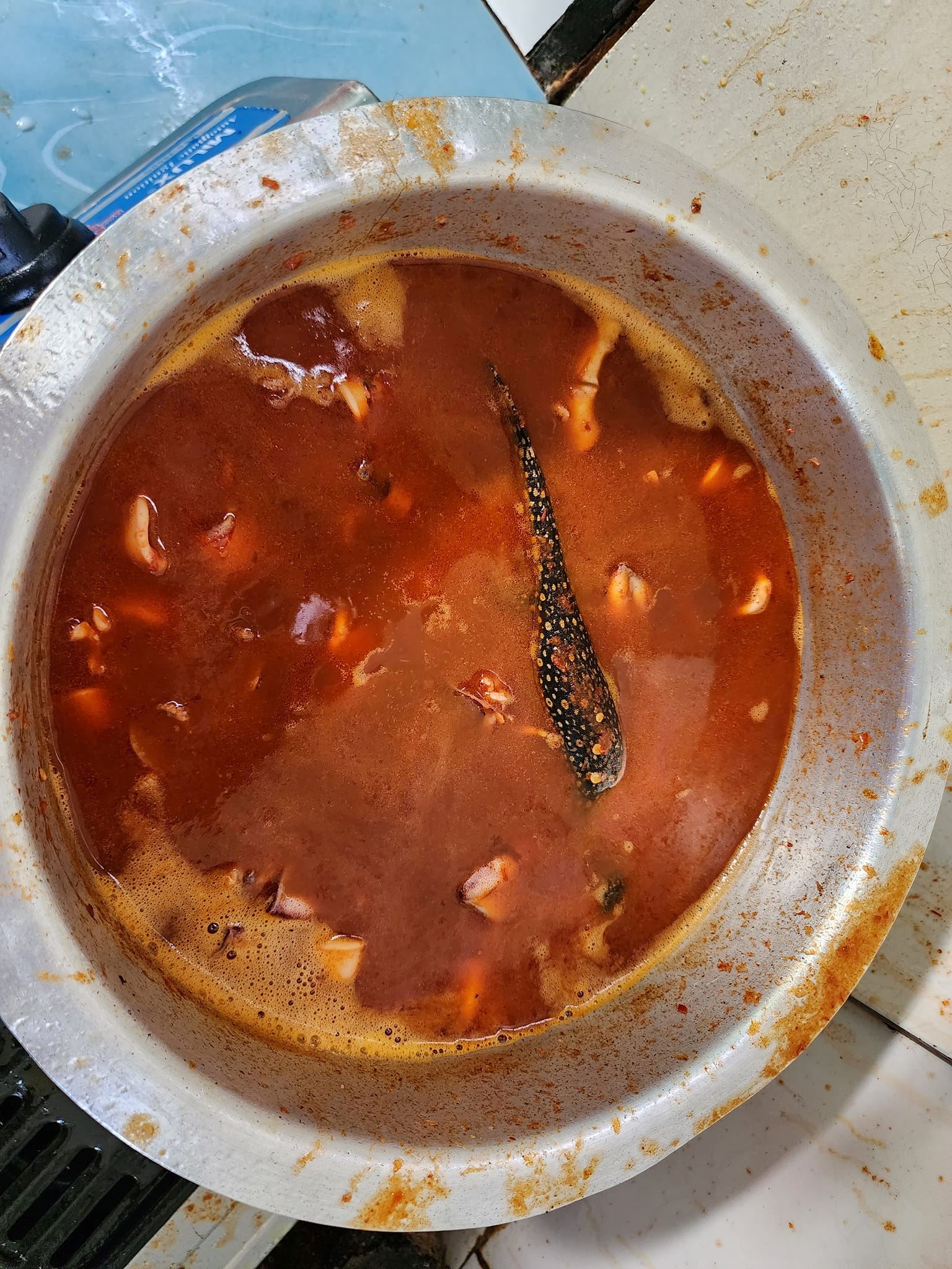 tak sempat hidang masa raya, anak biawak terjun masuk dalam sambal sotong