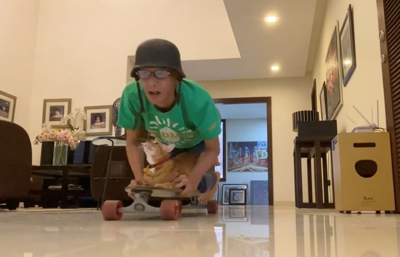 a whiskered skateboard adventure: malaysian actor and cat duo melt hearts online