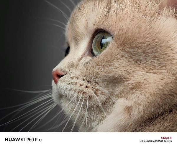 HUAWEI P60 Pro摄像作品