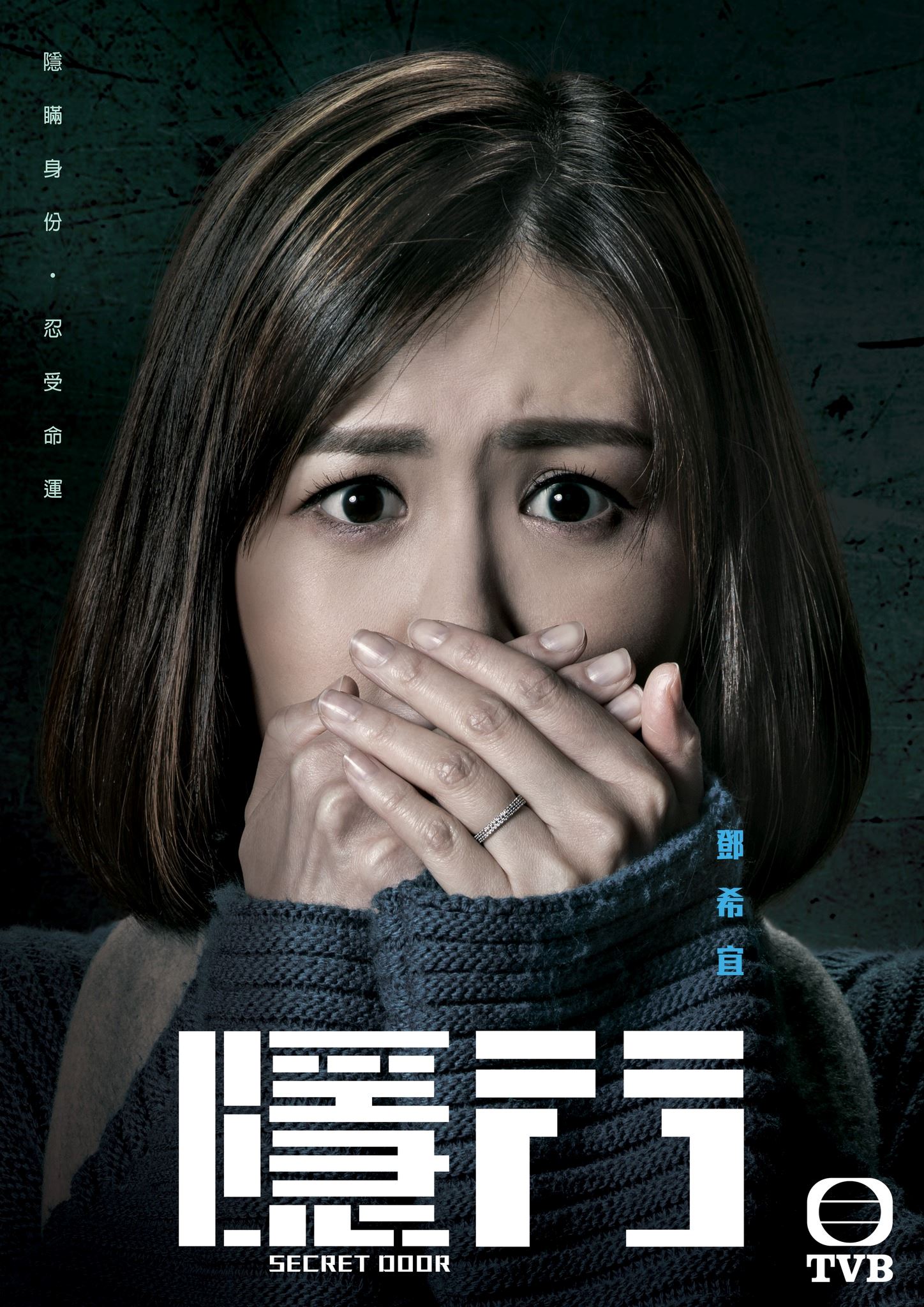 📺《隐门》5月29日开播❗️陈展鹏、黄智雯出演贼王的后代🔥