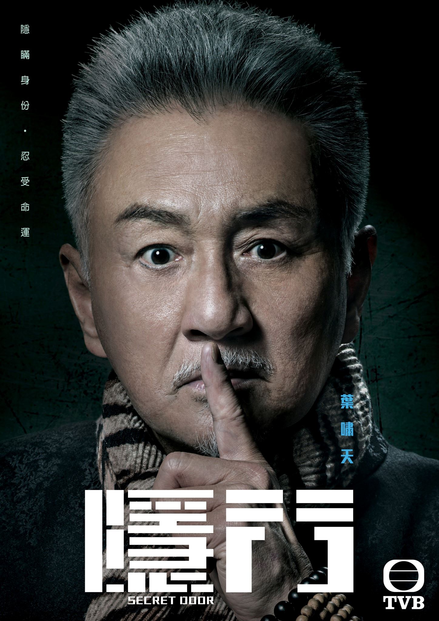 📺《隐门》5月29日开播❗️陈展鹏、黄智雯出演贼王的后代🔥