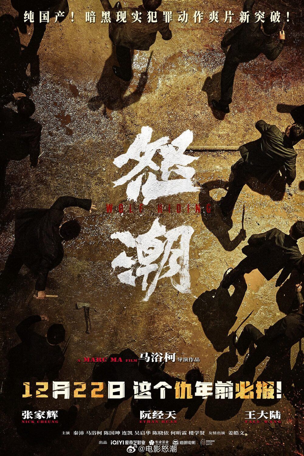 电影《怒潮》定档12月22日❗张家辉阮经天王大陆领衔主演😍