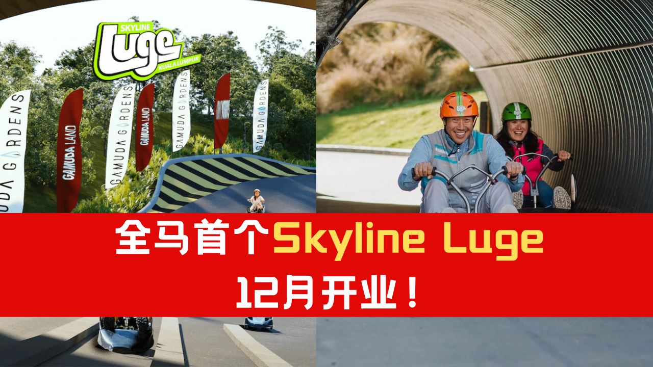 skyline-luge-12.png