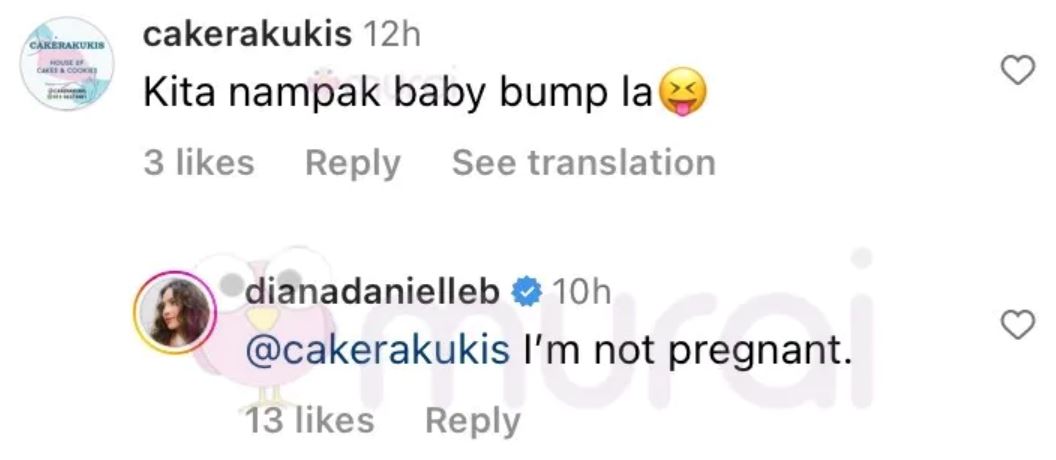 ada netizen nampak ‘baby bump’, ini respon balas diana danielle