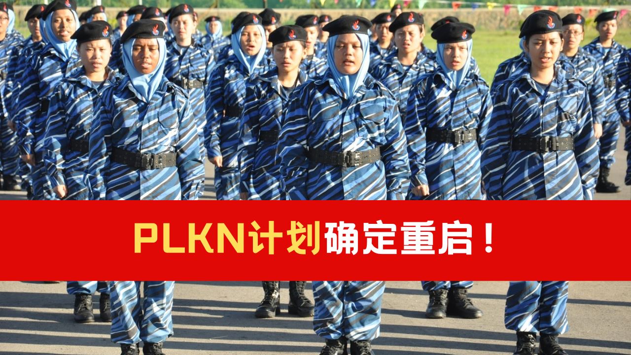 plkn-45-2.png