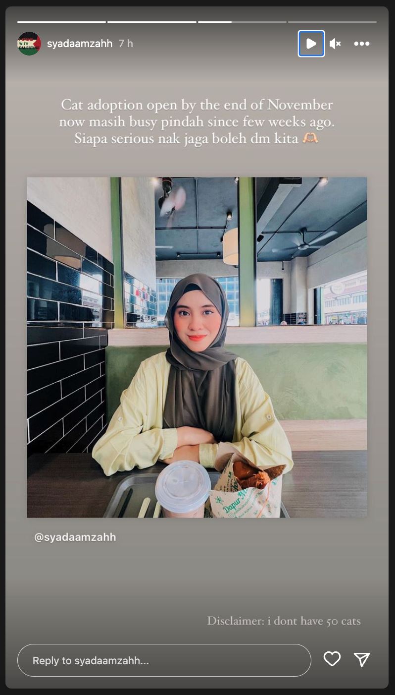 syada amzah buka tawaran sesiapa minat nak bela kucing miliknya