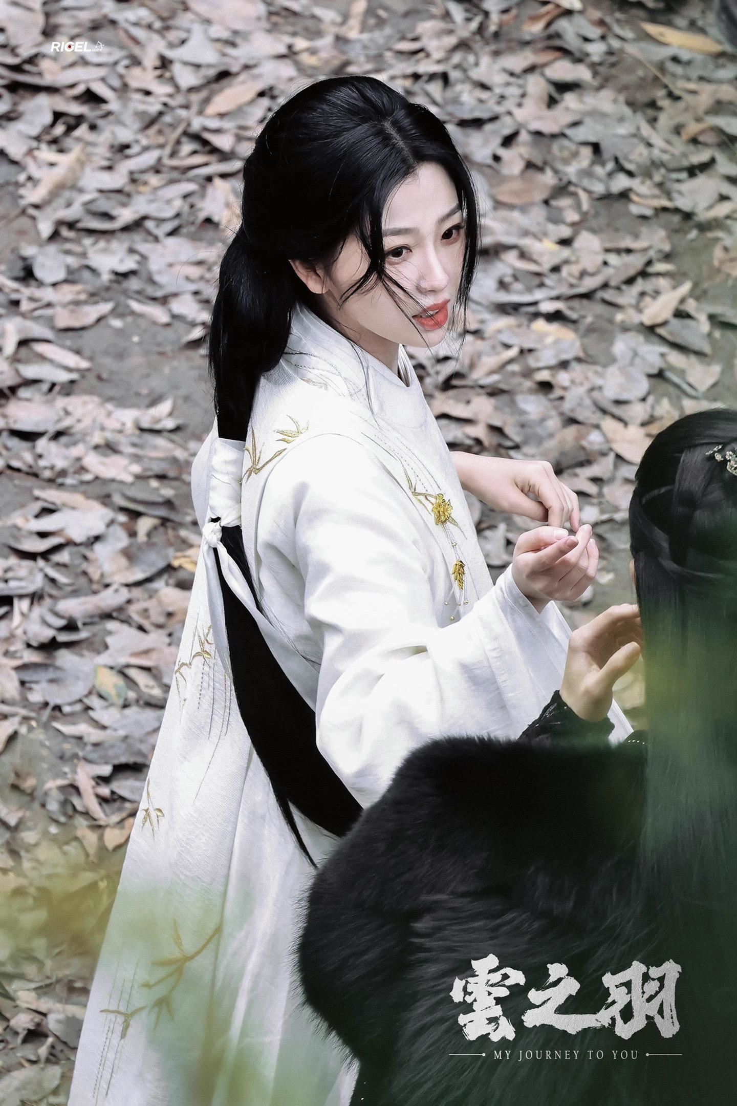 陆剧《云之羽》无预警播出❗虞书欣和张凌赫领衔主演🔥