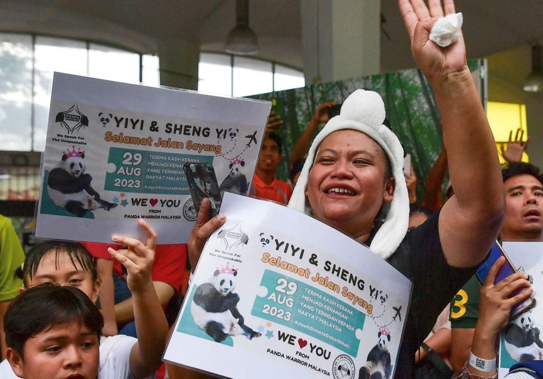 chinese government acknowledges zoo negara as one of the best giant panda caretakers