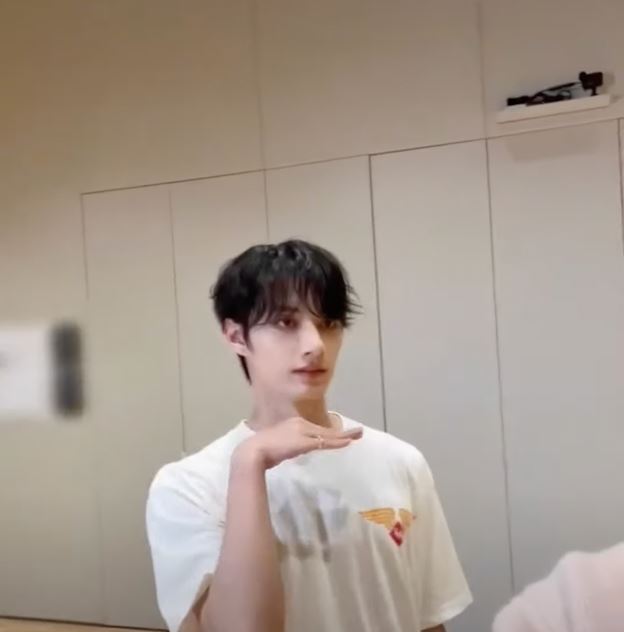 林一与seventeen成员文俊辉同框合影❗俩人一起大跳抖音神曲《我姓石》🔥