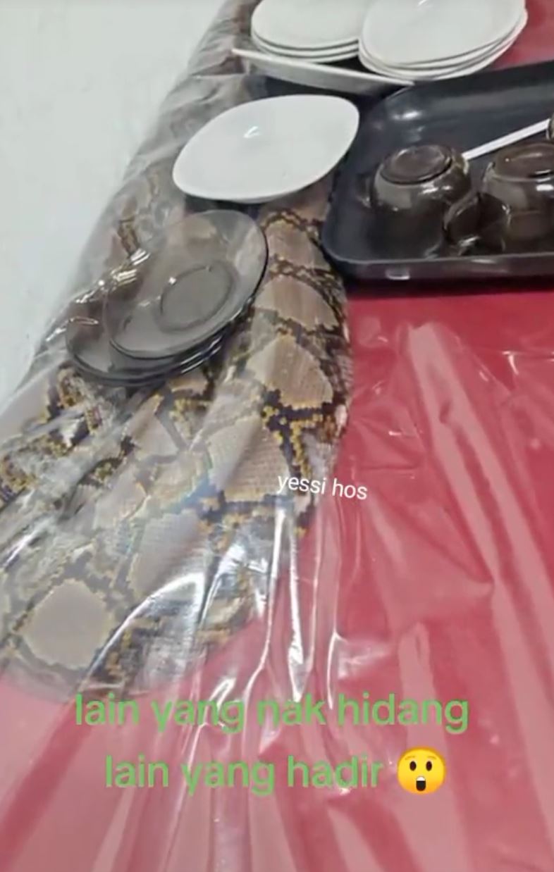 mesyuarat di gelugor, penang digemparkan dengan kehadiran tetamu tak diundang!