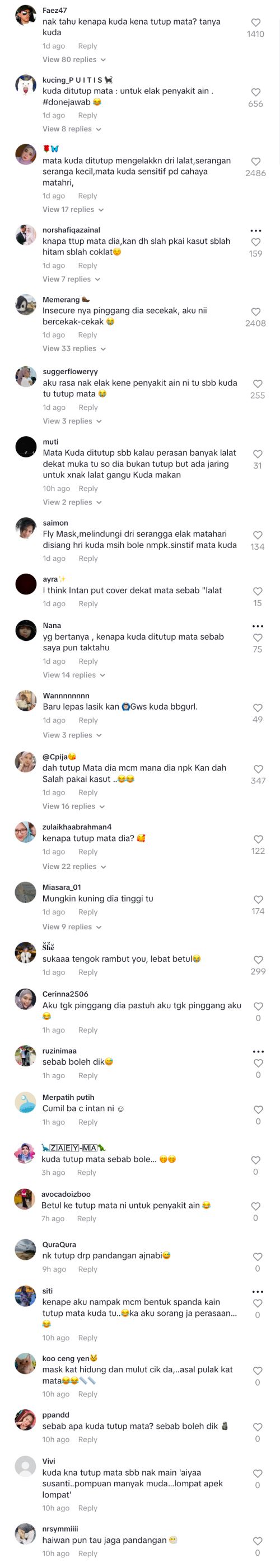 video intan najuwa bagi makan kuda, netizen tanya kenapa tutup mata?