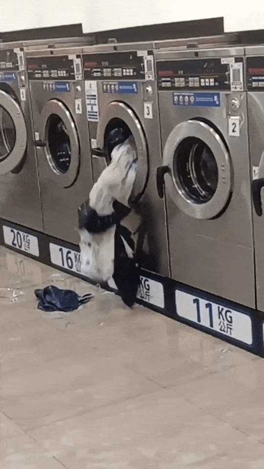 “kaca, sabun berselerak,” pasangan ini selamba letak katil bayi dalam mesin basuh dobi