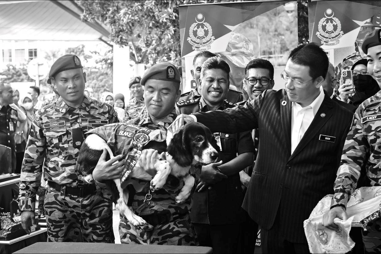 blake si anjing hero batang kali disahkan mati akibat barah limfoma tahap 4