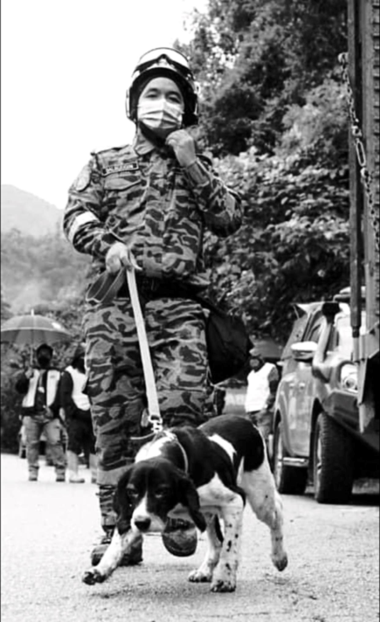 blake si anjing hero batang kali disahkan mati akibat barah limfoma tahap 4