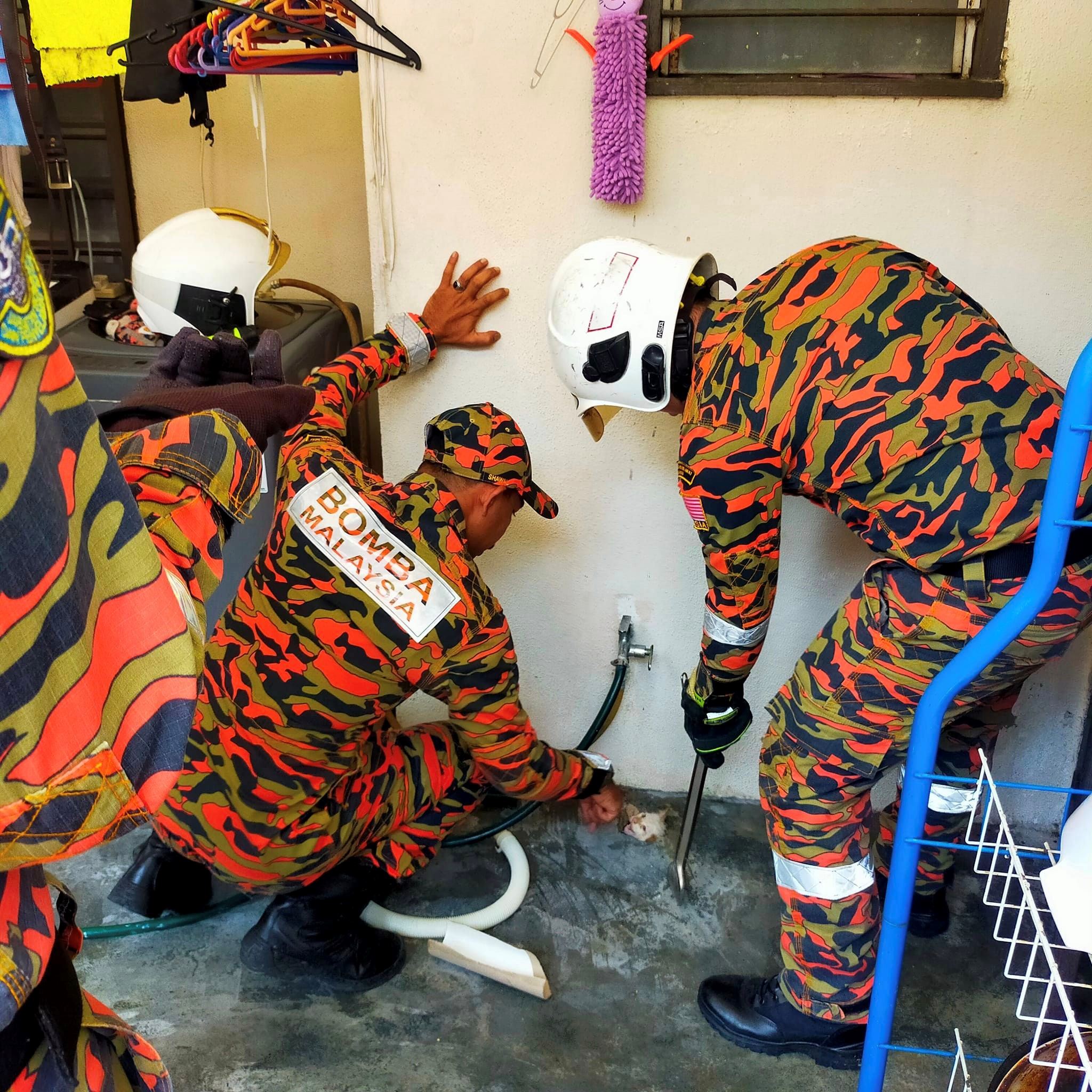 kucing nyaris lemas, dekat 3 jam si putih terperangkap dalam saluran air di cheras [video]