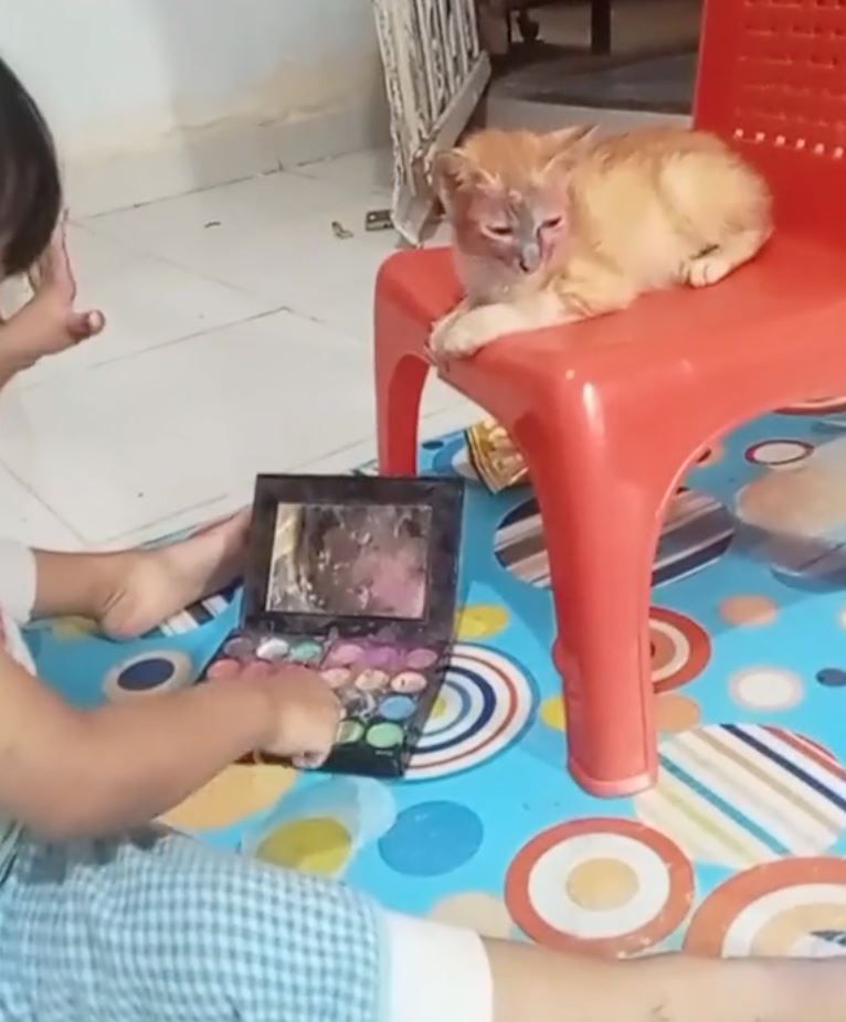 oyen pasrah muka jadi ‘model’ solekan budak perempuan [video]