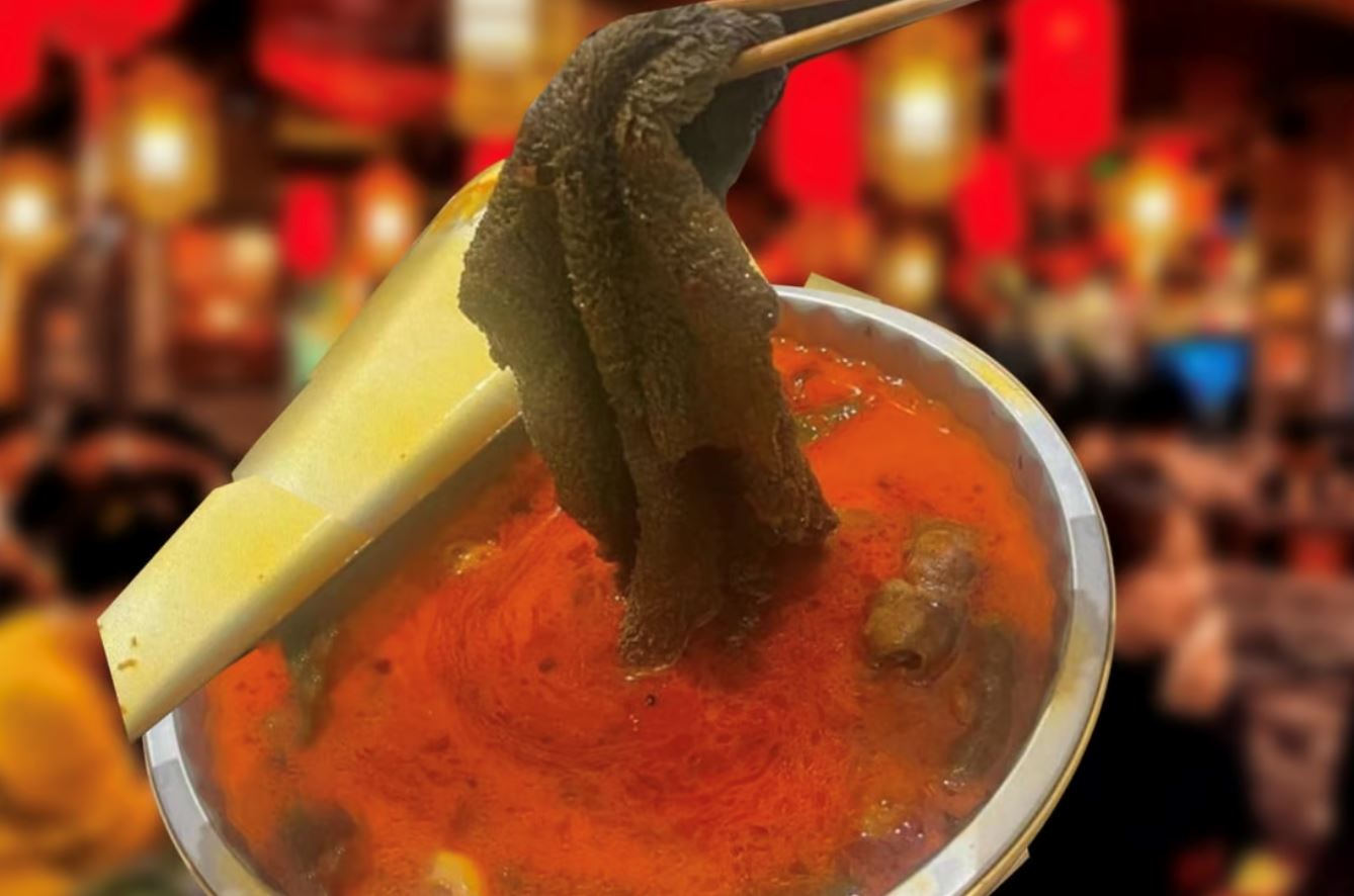 lelaki ingatkan perut lembu dalam sup, rupanya kain buruk dari dapur