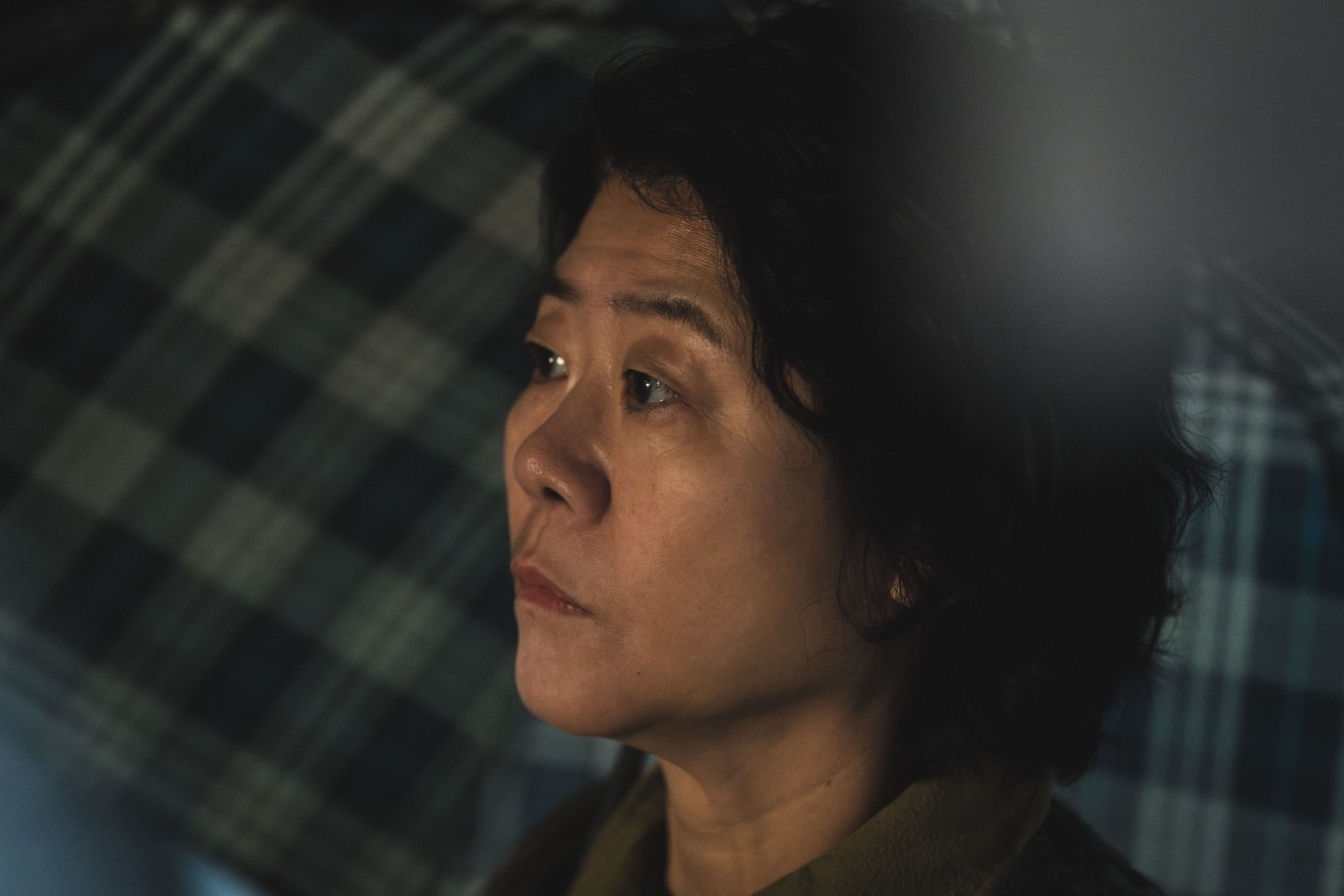 experience the five stages of grief with light shop