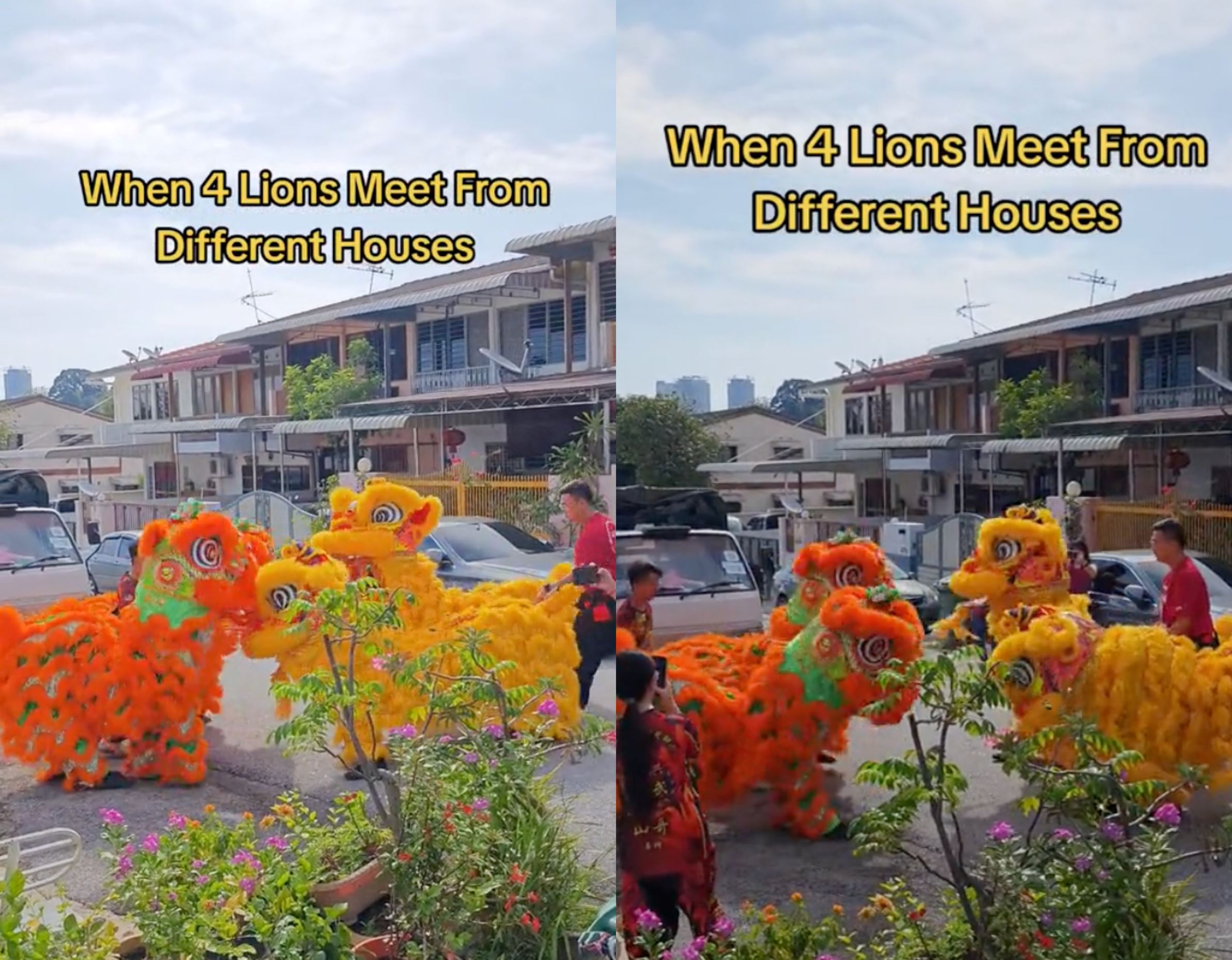 m'sians excited as four lions from different houses unite for amazing performance during cny celebration in penang!