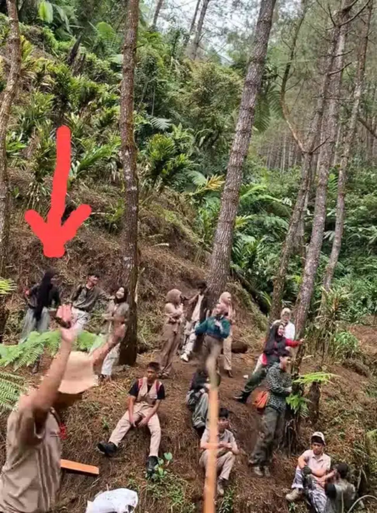 ambil gambar dalam hutan, jurugambar gelisah foto ‘terlebih’ seorang [video]