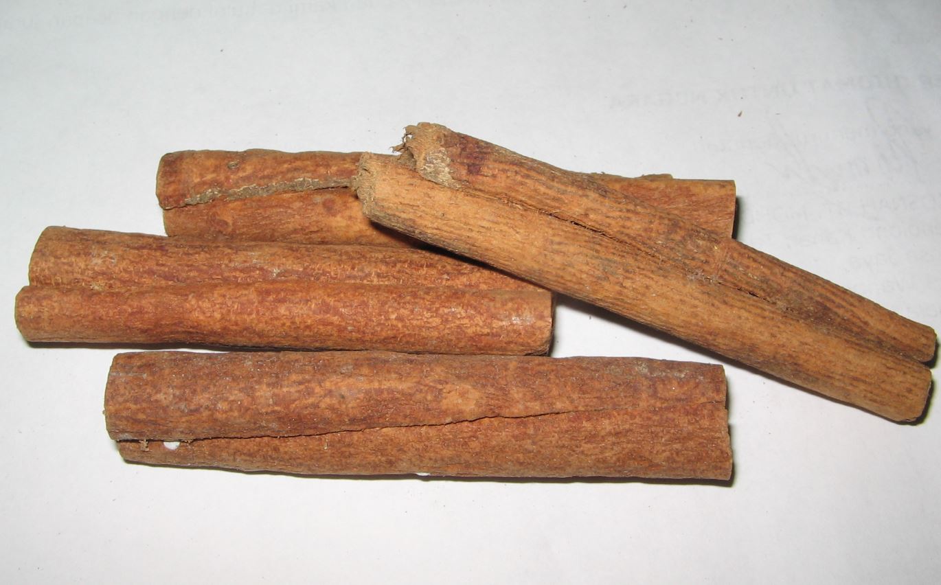 guna kulit kayu manis boleh hilangkan bau kucing dalam rumah? [video]