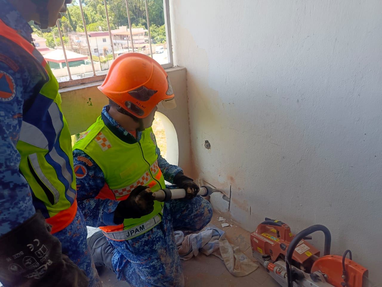 angkara lipas, kepala oyen tersangkut dalam lubang dinding [video]