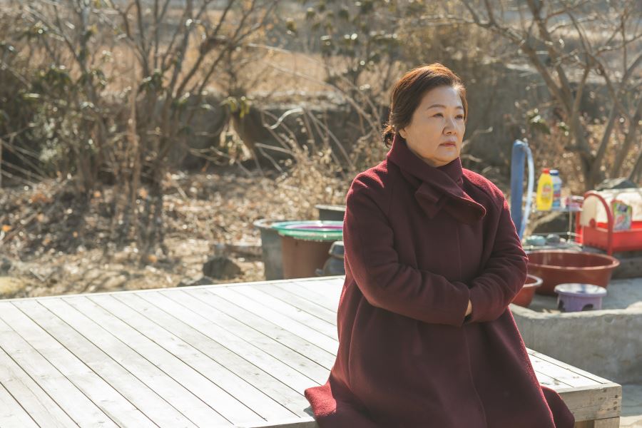 🎬韩国催泪电影《3天的休假》🥹金海淑和申敏儿领衔主演🔥