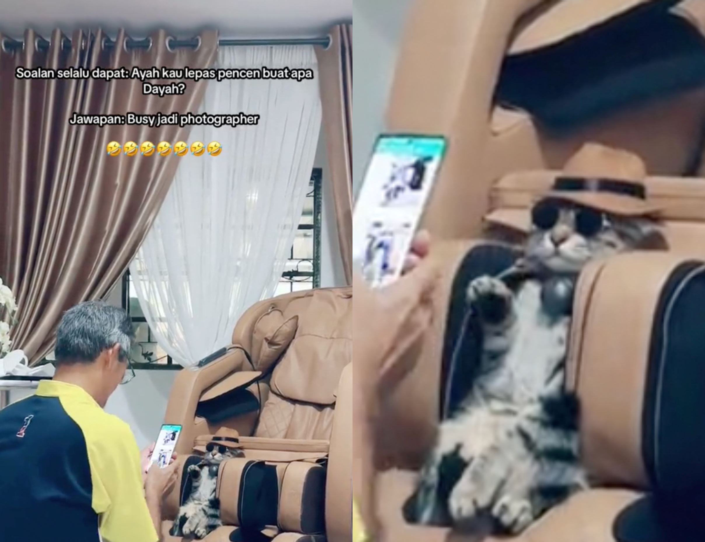 m'sian shares her dad's new ‘cat photographer’ role for their cats at home after his retirement