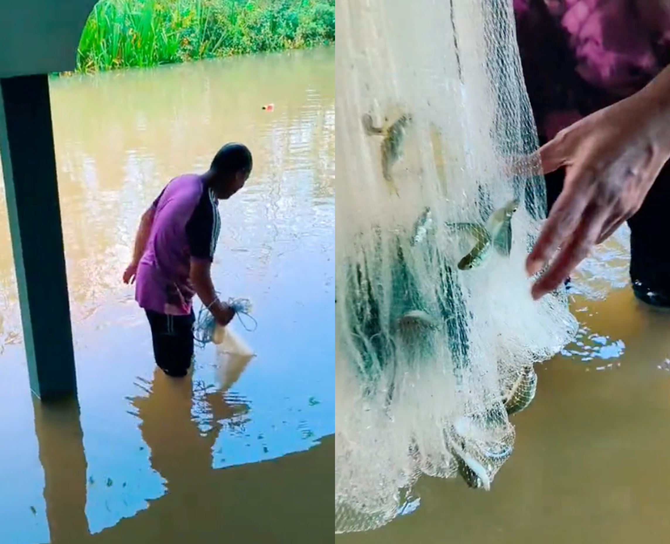 malaysian 'pak cik' turns flood season into a fishing expedition right at his doorstep