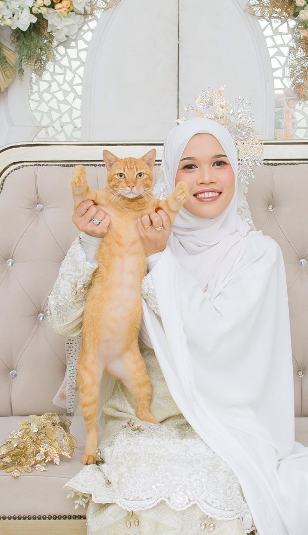 heartwarming! malaysian vet captures hearts posing with oyen for photos at her wedding