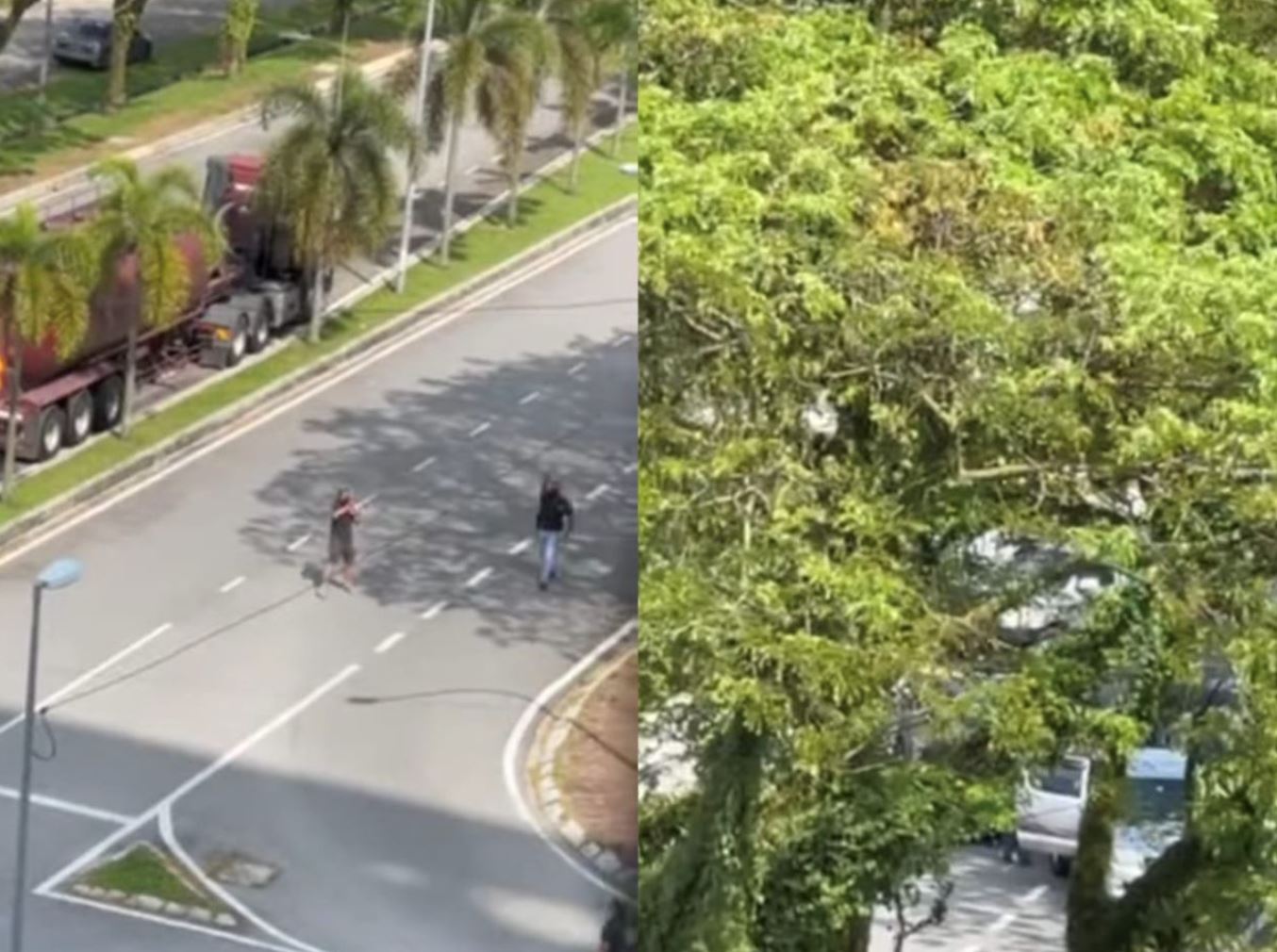 penduduk panik dengar bunyi tembakan di puchong prima, polis sahkan suspek maut [video]