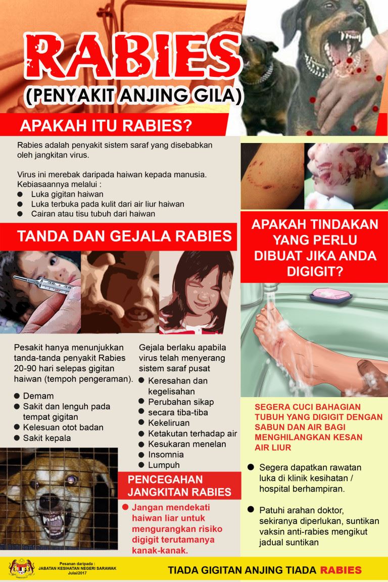 orang ramai dinasihat berjaga-jaga, kuching dan bintulu kini jadi kawasan jangkitan rabies