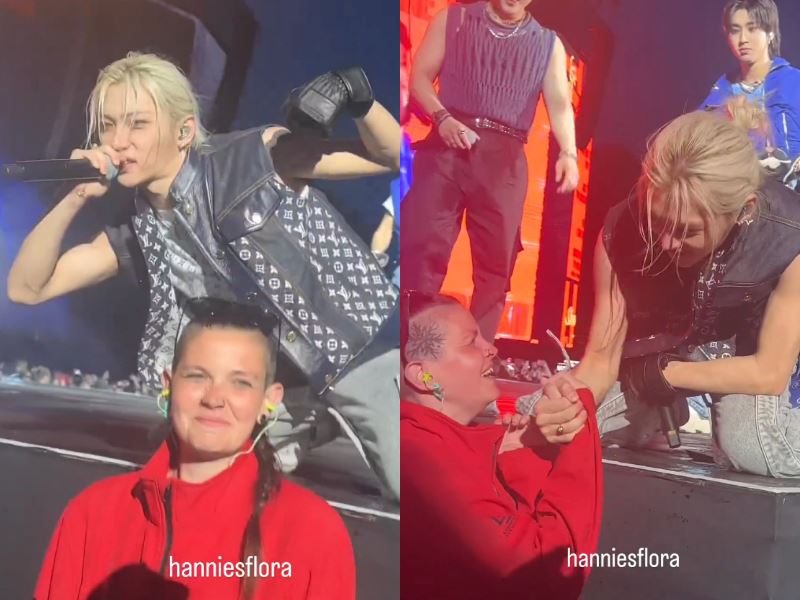 we get it! security guard caught on camera fangirling over stray kids’ felix during concert