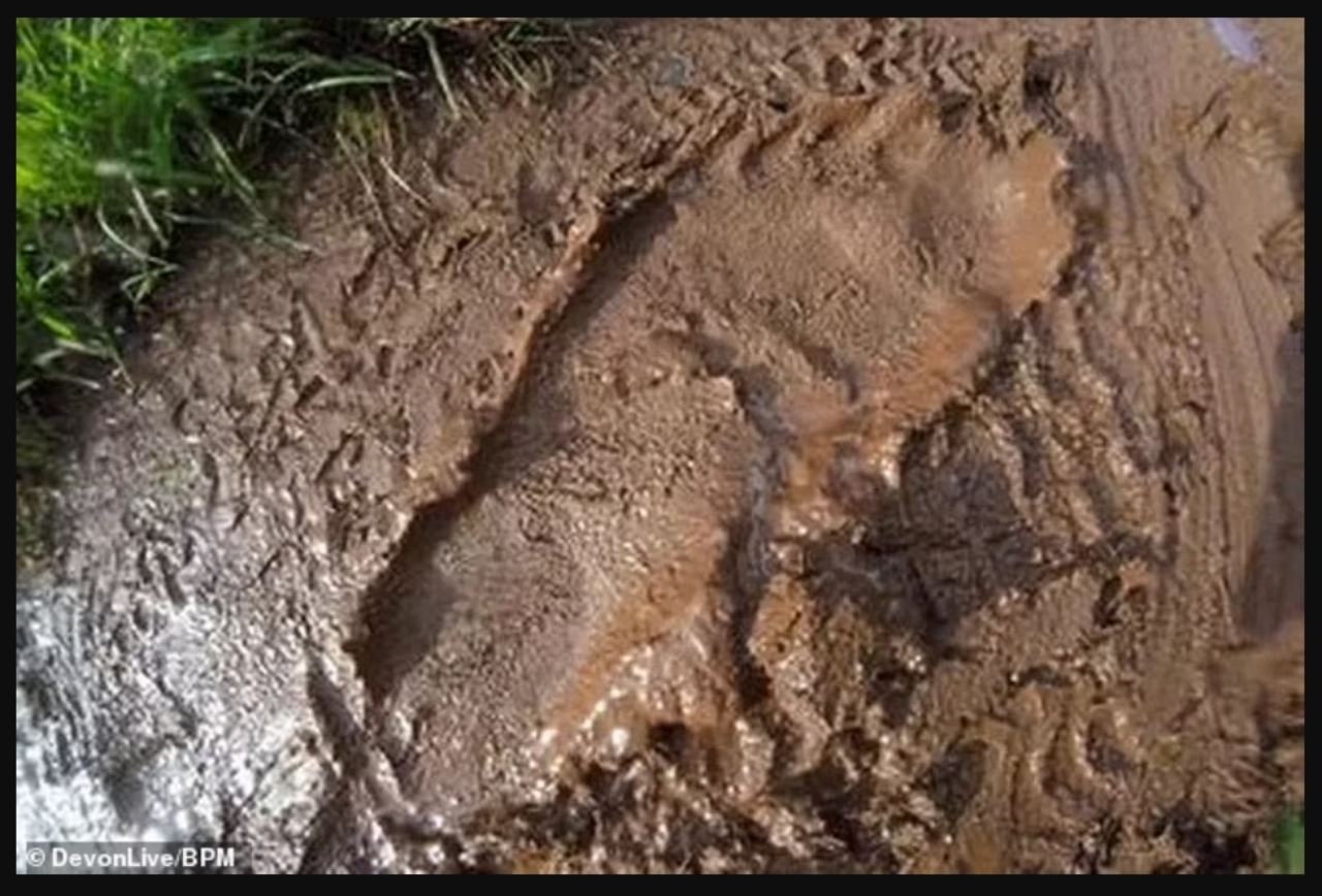 penduduk setempat terkejut jumpa kesan tapak kaki saiz gergasi di pantai
