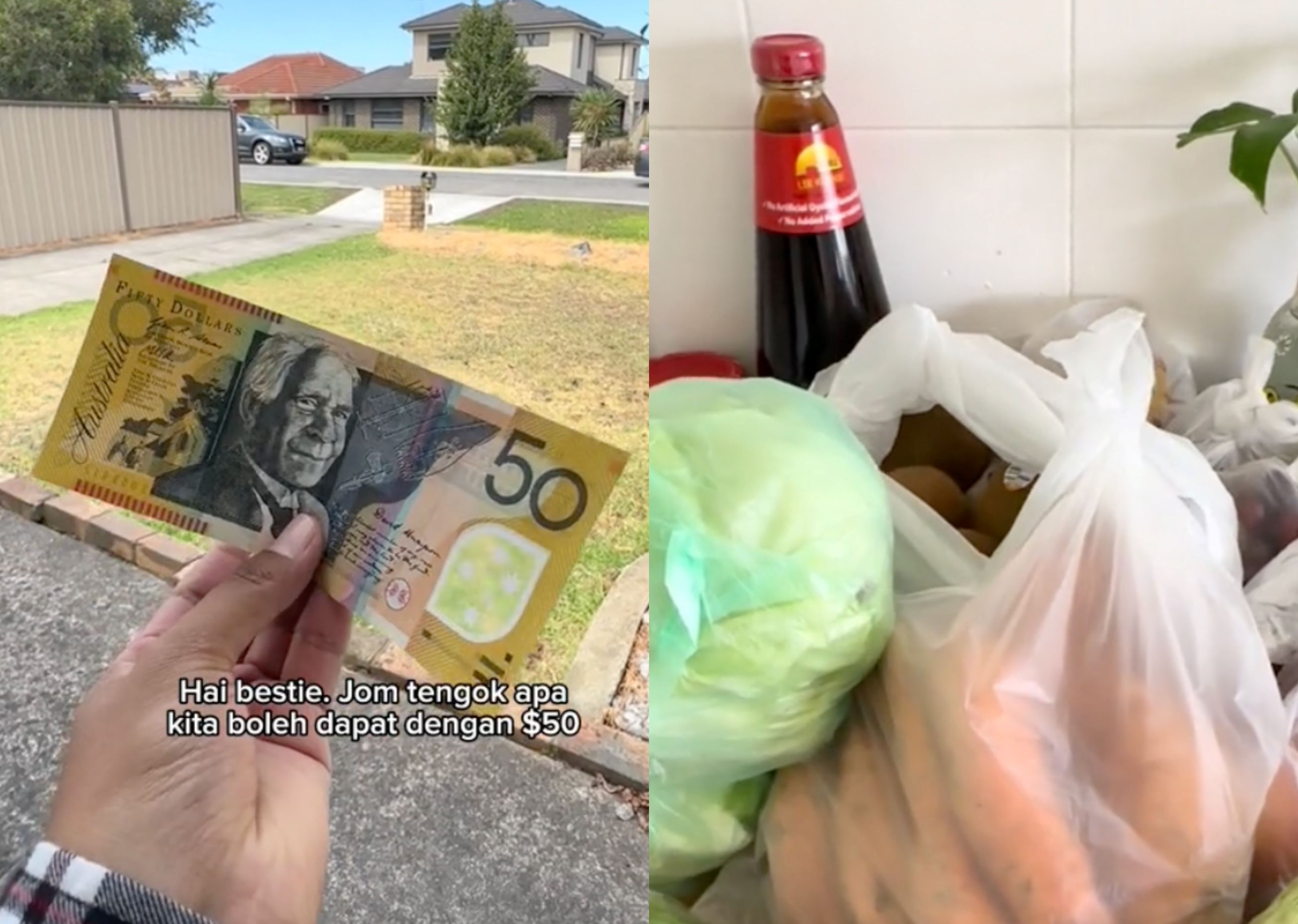 malaysian in australia reveals aud50 grocery haul – netizens advise against rm comparison