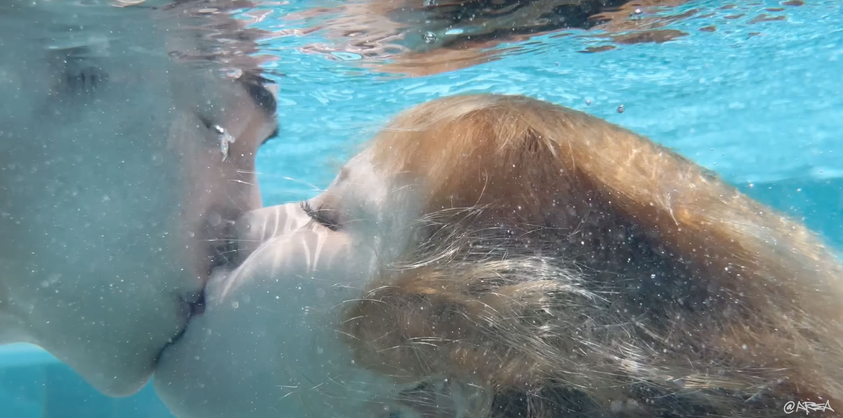 🇰🇷性感小野马时隔两年回归❗泫雅新歌《q&a》mv公开🔥