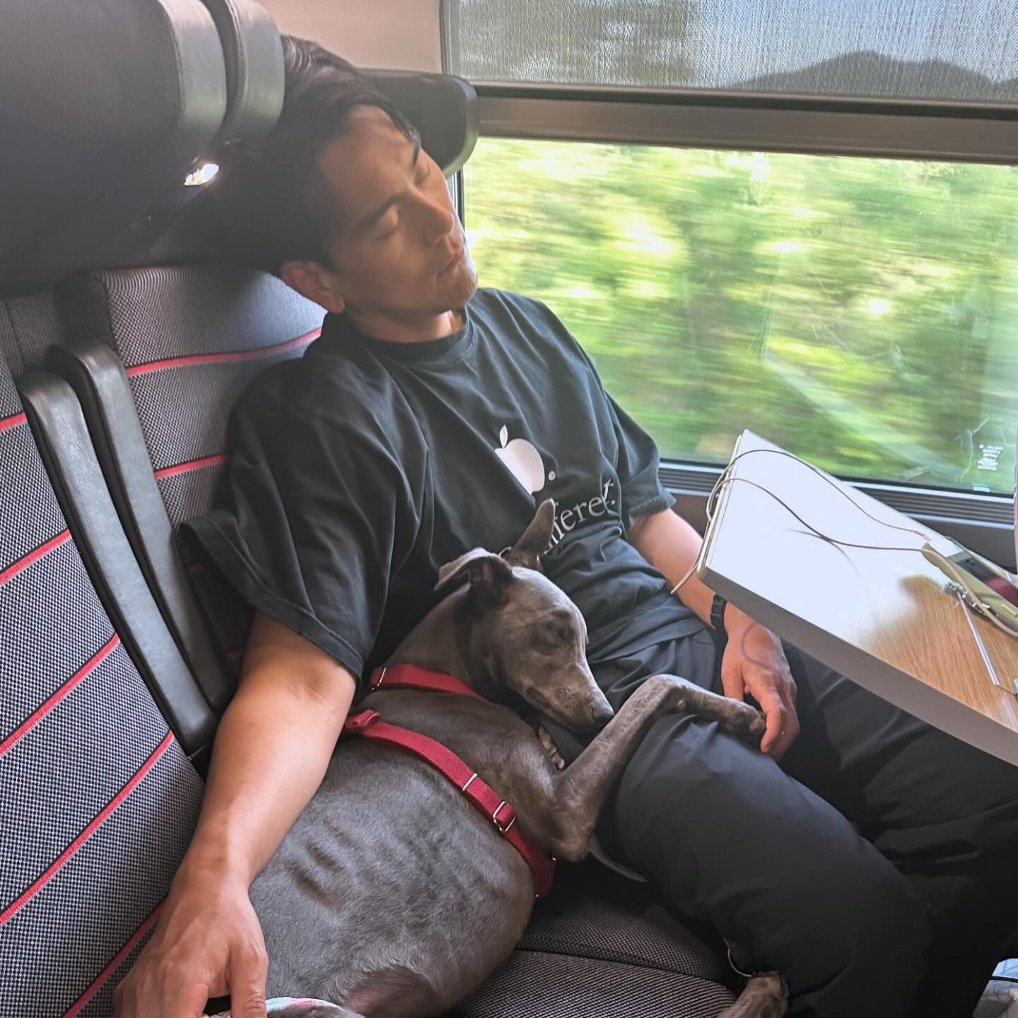 🎬第77届戛纳电影节开幕❗彭于晏带爱犬xin一起走红毯🔥